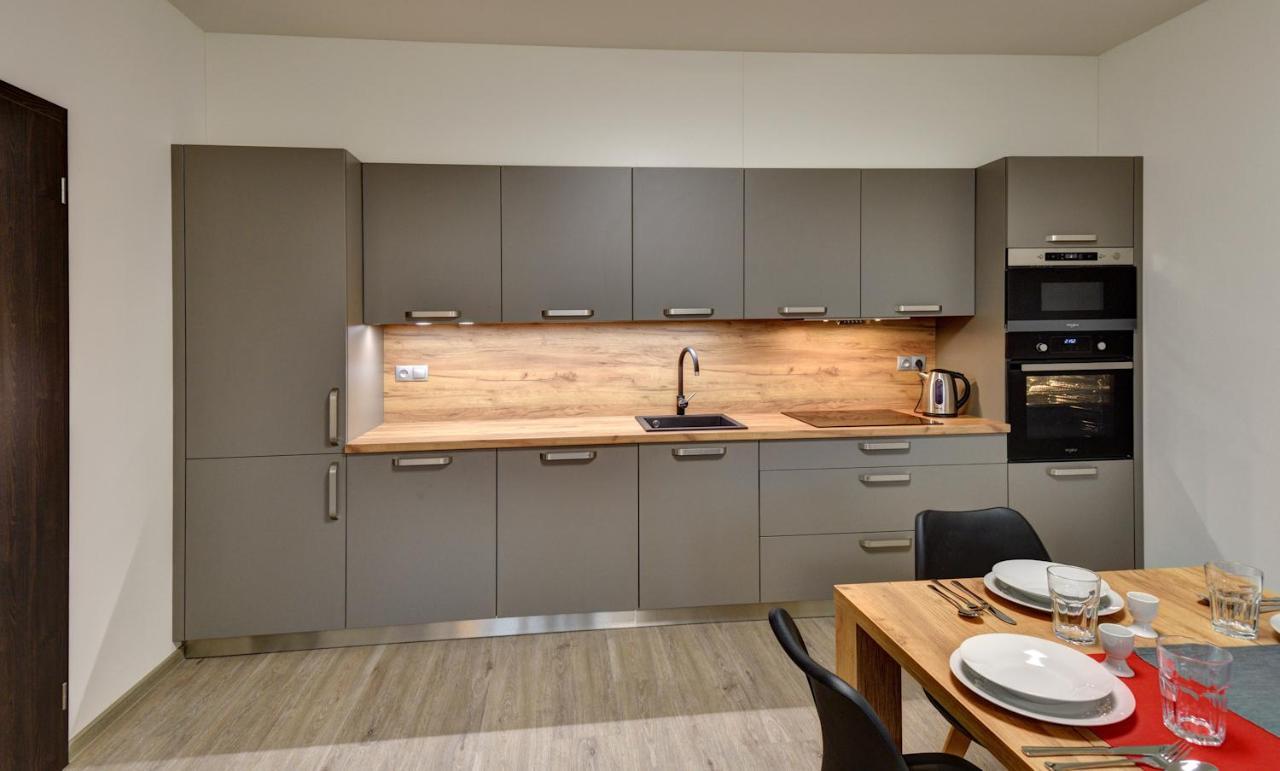 Apartmany Sunny Lipno Lipno nad Vltavou Luaran gambar